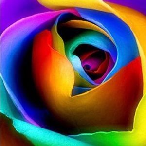 Meet your Posher, Allyson